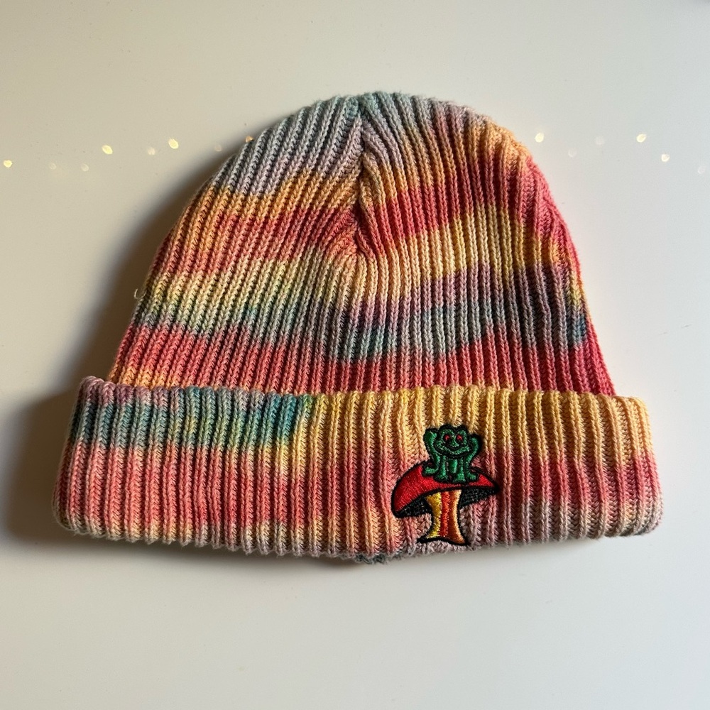 Rainbow hand-dyed frog patch beanie